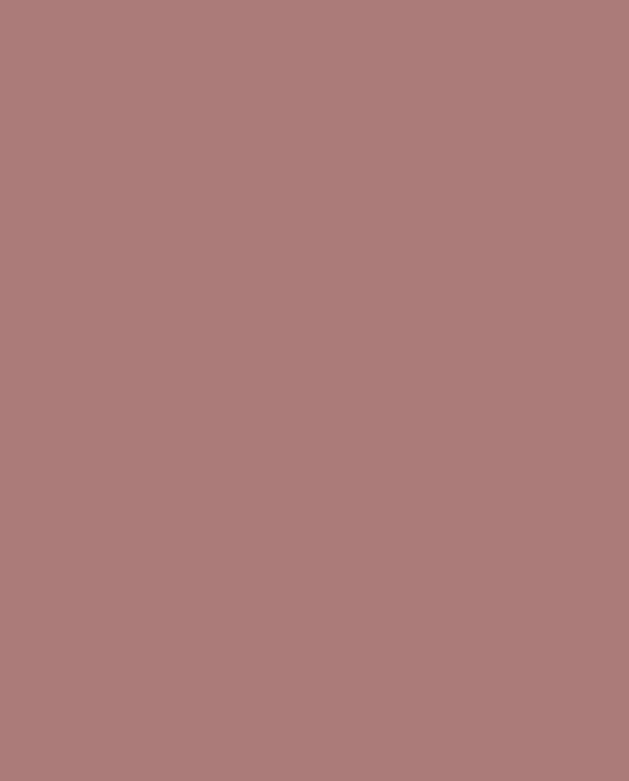 300 ASH ROSE