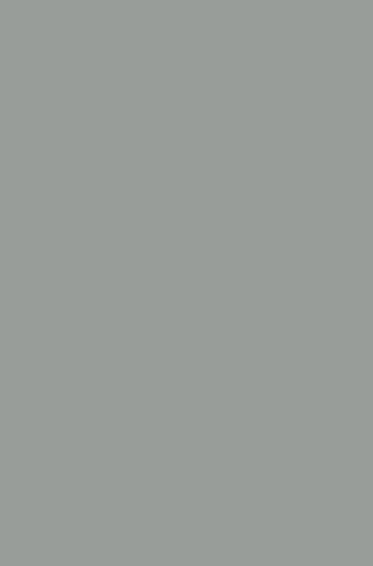 731 SAND GREY